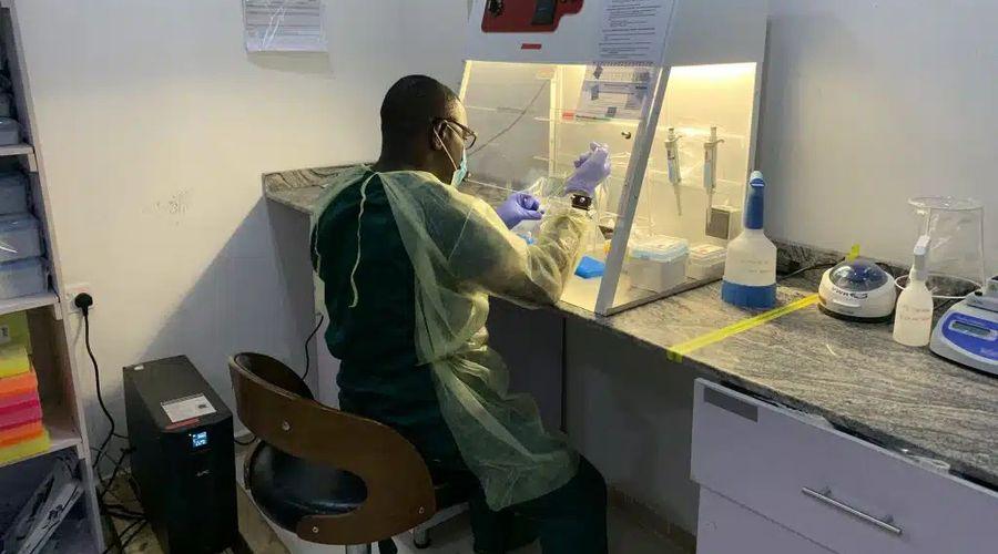 Nijerya’da 'Lassa ateşi' salgını: 162 ölü