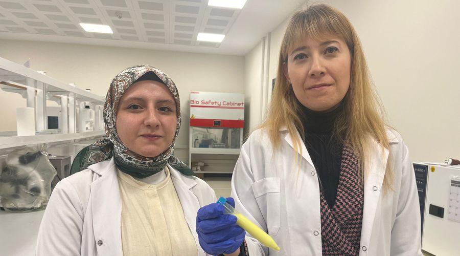 Pansumanı ortadan kaldıracak buluş yolda! Türk bilim insanları 'yara örtüsü' geliştiriyor