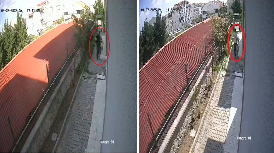 Ankara'da sahiplendiği köpekleri evinde öldürdüğü iddia edilen doktor tutuklandı