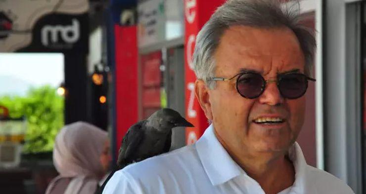 Sahiplendiği yavru karga, emekli doktorun omzundan inmiyor