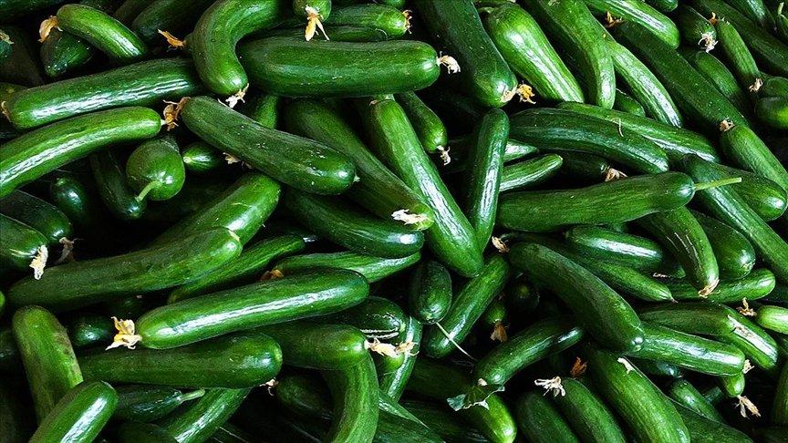 ABD’de salmonella salgını: 68 kişi hastalandı