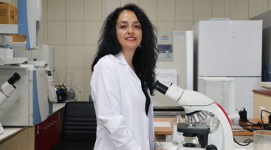 Tıbbi kenevirin kullanımı birçok ağrının tedavisinde yaygın