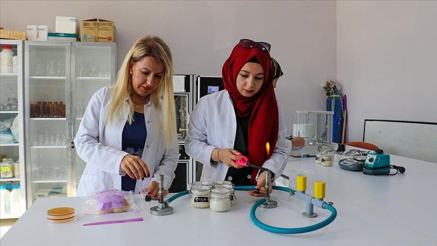 Van'da probiyotik içeren gıdaların besin değerini korumak için 'kapsüllenmiş maya' üretildi