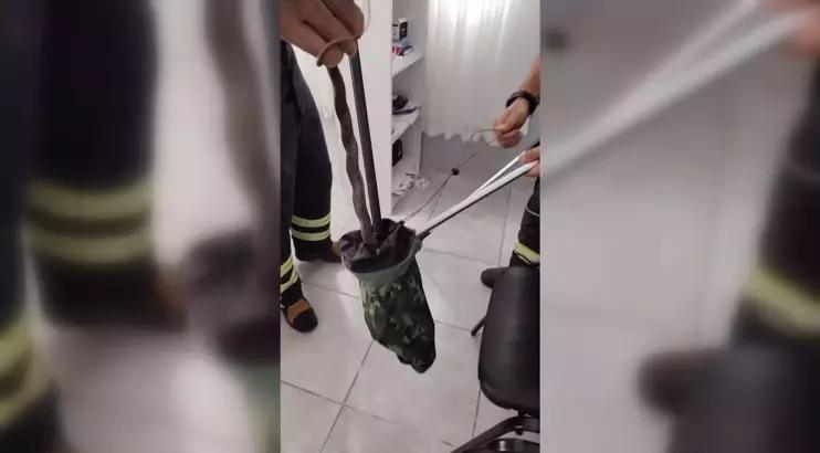Osmaniye'de aile sağlığı merkezinde yılan paniği