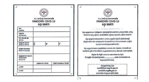 Türkiye'nin COVID-19 aşılamada yol haritası belli oldu! İşte detaylar!