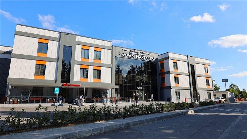 İÜC Veteriner Fakültesi Hayvan Hastanesi, yenileme çalışmalarının ardından bugün açılacak