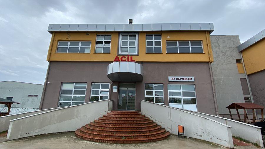 Samsun'da veteriner hekimlere saldırı: Stajyer öğrenci kalp krizi geçirdi