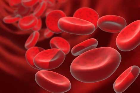 Doç. Dr. Fatih Kocabaş Uluslararası Hematoloji/Onkoloji Ödülü'ne layık görüldü