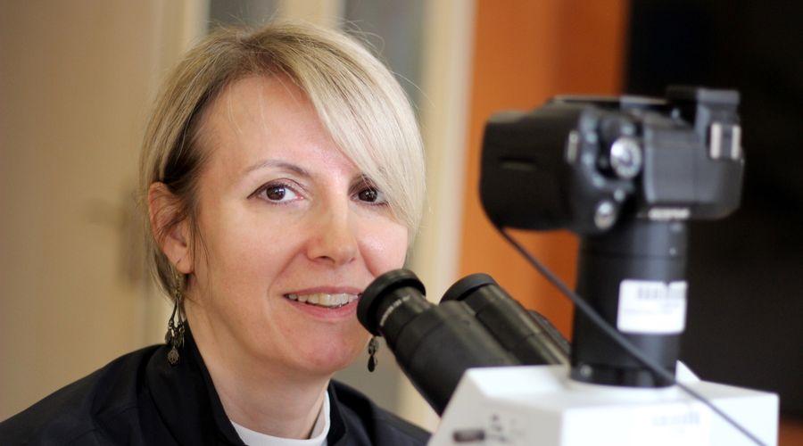 Prof. Dr. Balta: Pandemi, anemi vakalarını artırdı