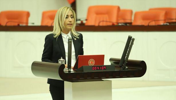 Doktor milletvekili Çokal: Sağlık alanında istihdam yetersiz 
