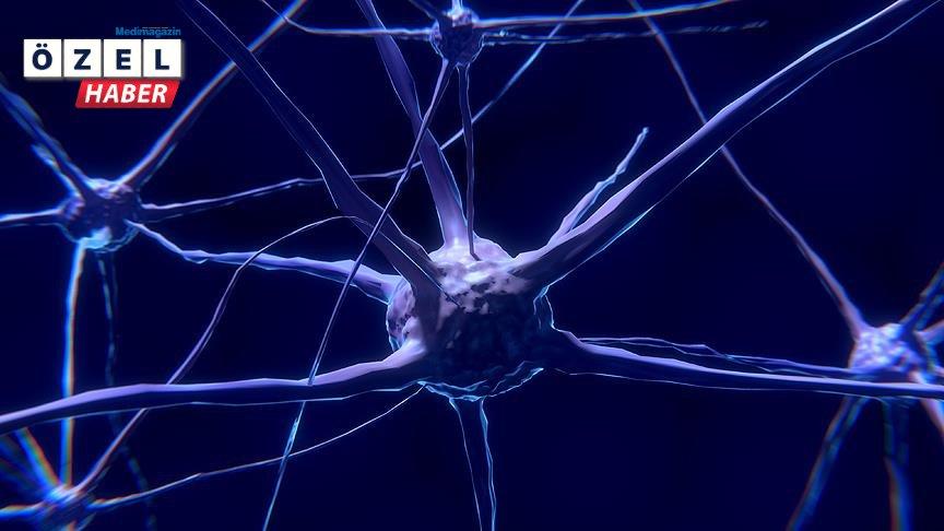 Alzheimer'ın nedeni çok hızlı yaşlanan beyin hücreleri olabilir