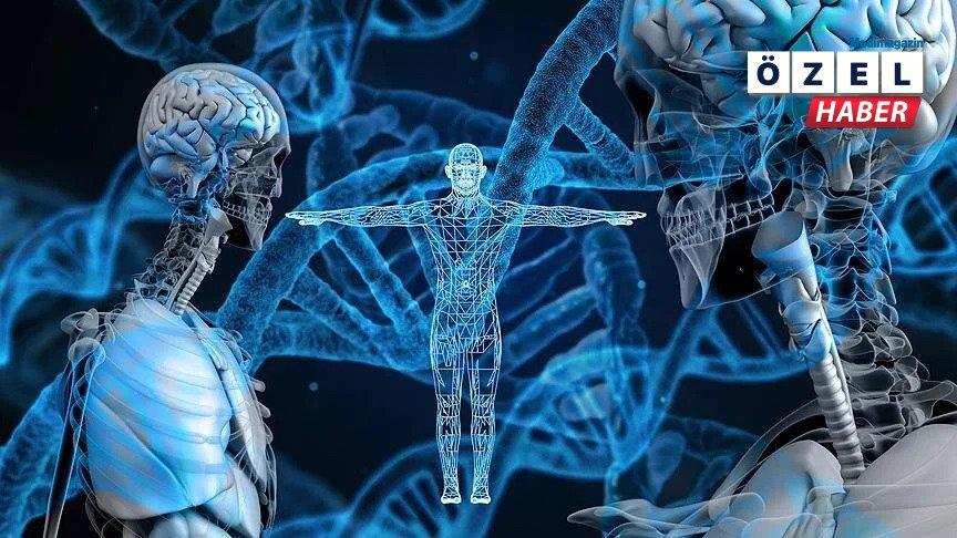 DEHB uyarıcıları genç yetişkinlerde kalp hasarı riskini artırabilir