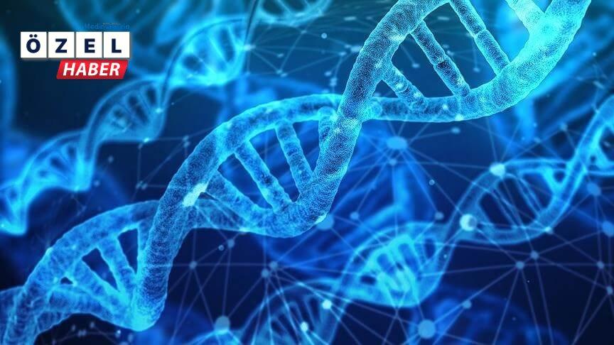 Araştırma: YKT6 gen varyantları yeni bir nörolojik bozukluğa neden oluyor