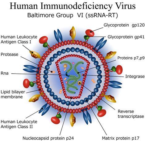 HIV tedavisinde 1-3 ayda bir enjekte edilecek yeni ilaçlar yolda