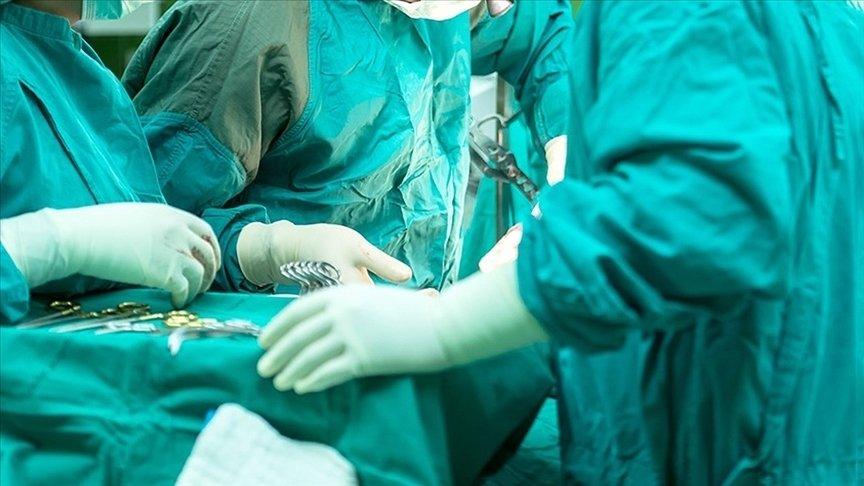 Domuzdan organ naklinde yeni umut