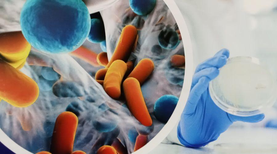 Mikroplastiğe maruz kalan bakteriler bazı antibiyotiklere karşı direnç kazanıyor