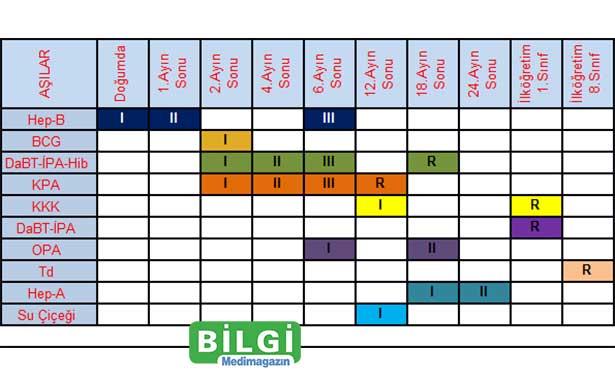 Bir aşı daha aşı takvimine eklenecek