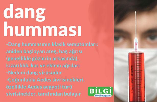 Dang humması aşısına onay çıktı