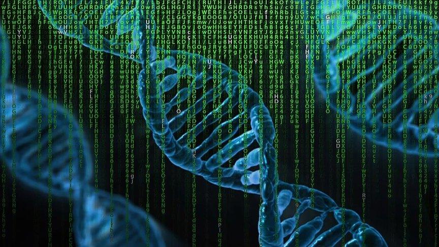 DNA haritası daha fazla insan grubunu kapsayacak şekilde güncellendi