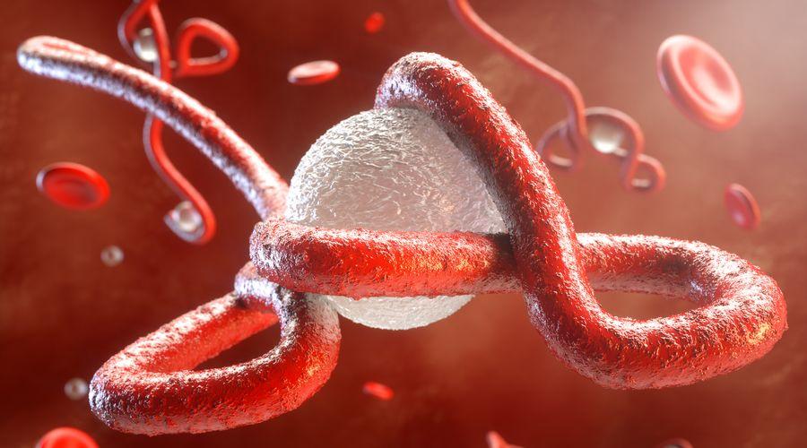Bilim insanları uyardı: Ebola benzeri yeni ölümcül virüs bir sonraki pandemiye neden olabilir