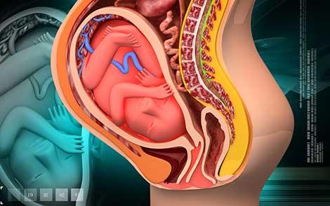 Türk hekim Washington Üniversitesinde fetal büyüme geriliğine ışık tuttu
