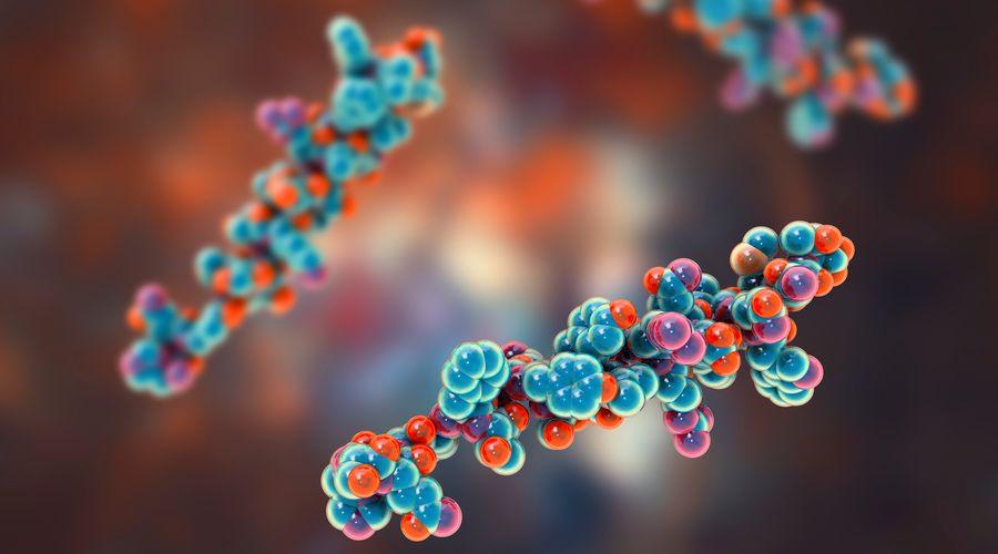 Glukagon hormonunun böbrek sağlığı üzerindeki koruyucu etkisi keşfedildi