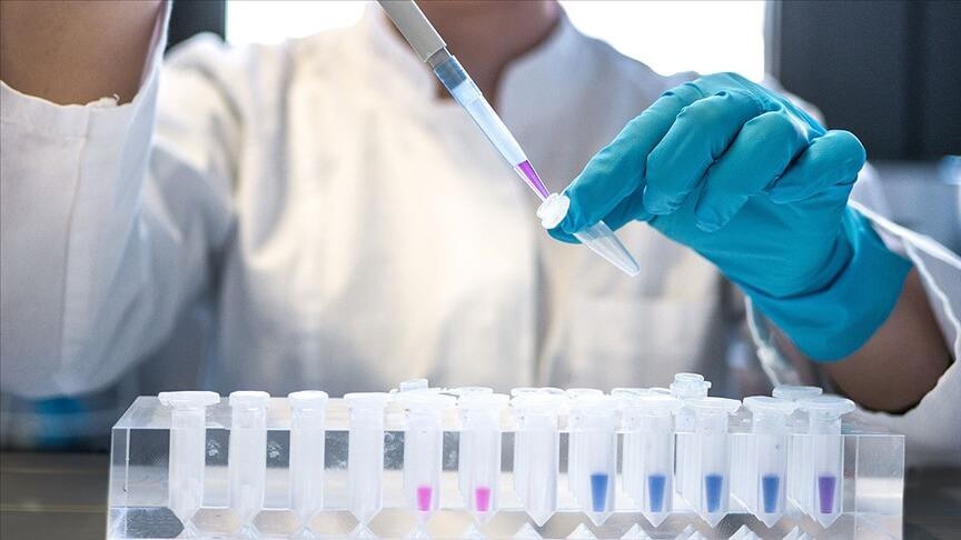 AIDS'in kesin tedavisinde önemli gelişme: HIV taşıyan makaklar kök hücre nakliyle tedavi edildi