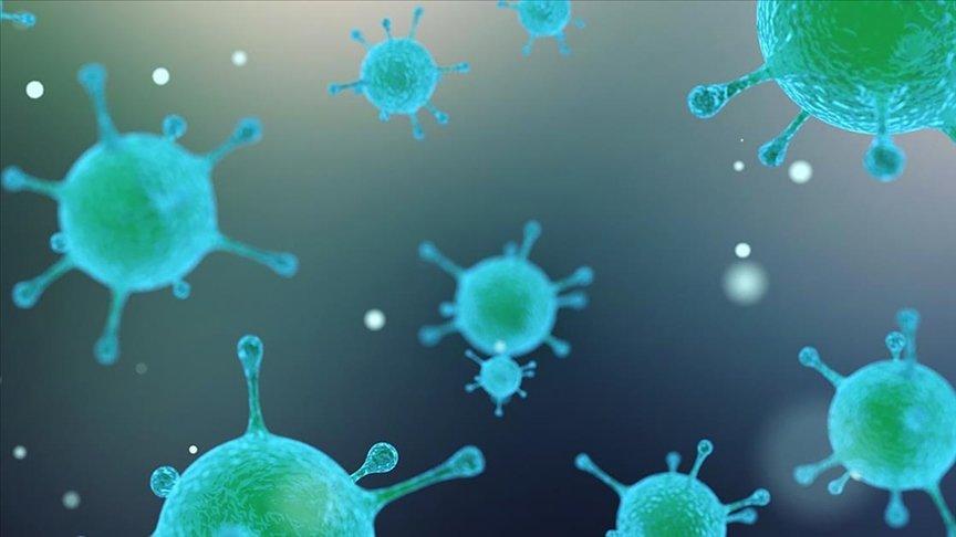 DNA analizi, Kara Veba’nın kaynağını ortaya çıkardı