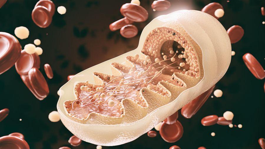 Parkinson tedavisine giden yol: Araştırmacılar mitokondriyal DNA'da hayati bir ipucu buldu