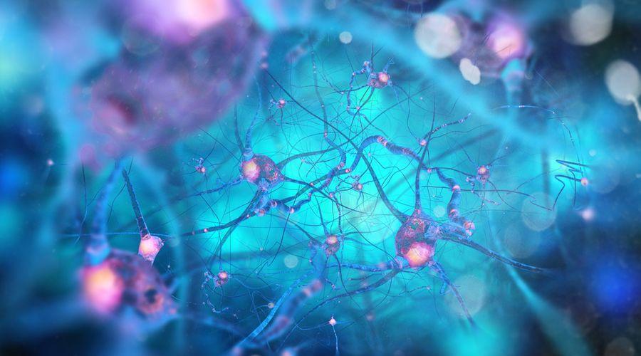Parkinson hastalığına yol açabilen 10 pestisit belirlendi