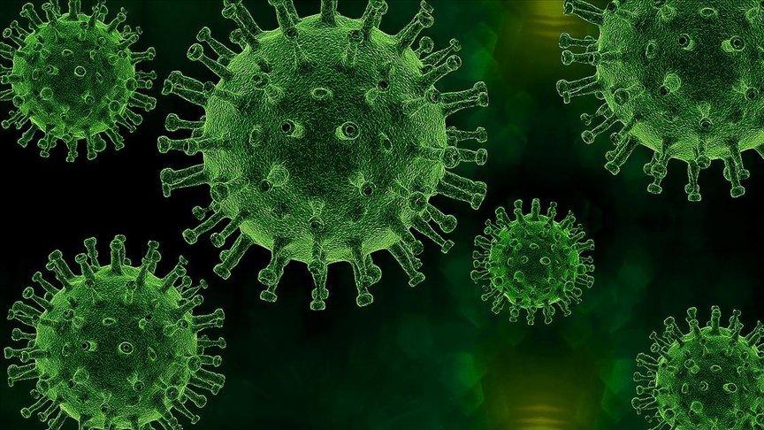 'Alaskapox' virüsü kaynaklı ilk ölüm kaydedildi