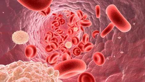 Nanotıp sahasındaki araştırma, daha önce üretiminden vazgeçilen kanser ilacına hayat verdi