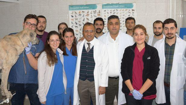 Hayvan sağlığında çığır açacak gelişme: Reel sektöre katkı sağlaması bekleniyor