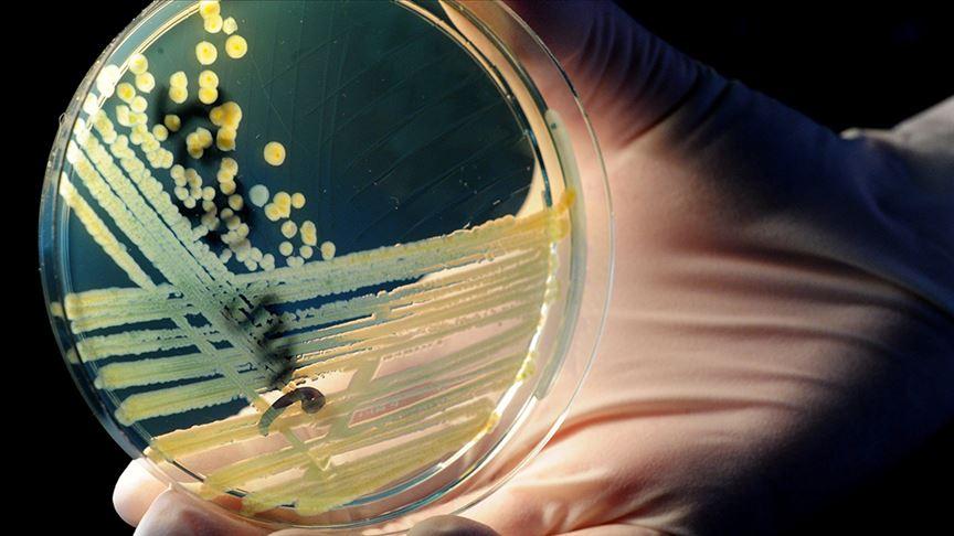 Türk bilim insanı İngiltere'de prestijli Longitude Ödülü'nü kazanan ekipte: 'Antibiyotik direncine karşı çığır açtılar'