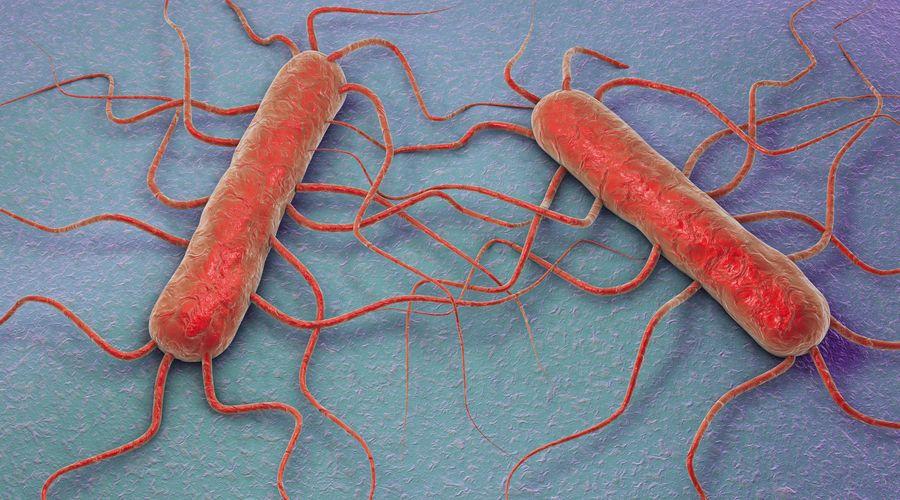 İngiltere’de Listeria paniği büyüyor! Hastane tatlılarında bakteri tespit edildi