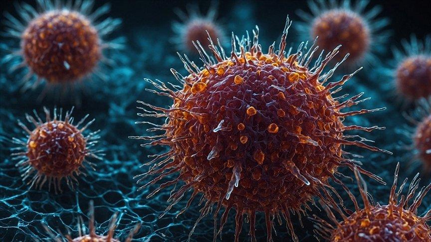 Afrika Birliği: Maymun çiçeği virüsü salgını tüm dünyanın sorunu