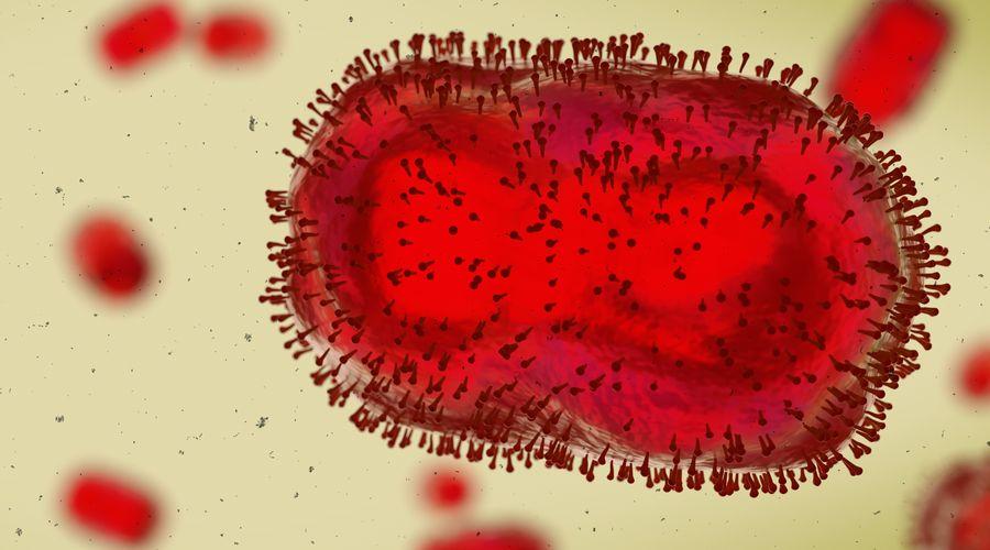 Avrupa'da M çiçeği virüsü uyarısı: Risk düşük ancak hazırlıklı olunmalı