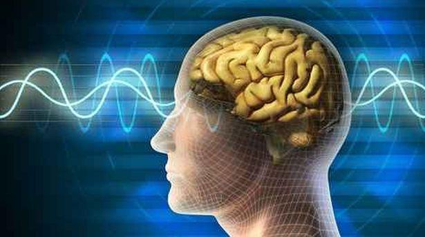 Bilimsel açıklamalar eşliğinde beyninizi güçlendirip hafızanızı geliştirmenin 8 yolu!