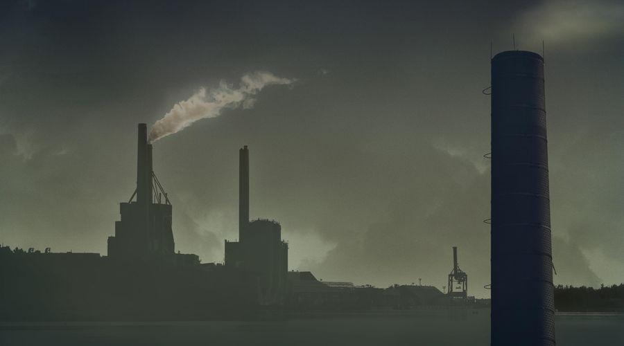 Hava kirliliğine bağlı ölümler artıyor! DSÖ'den acil eylem çağrısı geldi