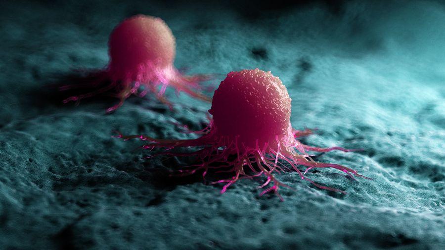 Kanser hücrelerini doğrudan hedef alan virüse sahip ilaç ilk hastaya verildi