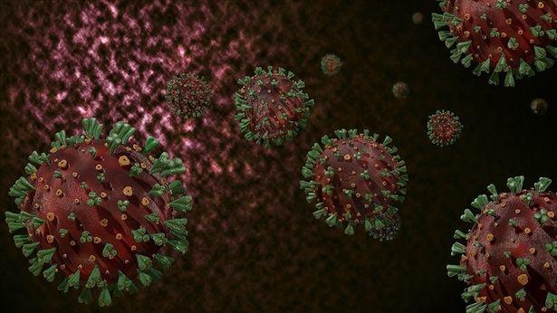 DSÖ'den virüsün geleceği hakkında açıklama: Uzun yıllar aramızda olacak