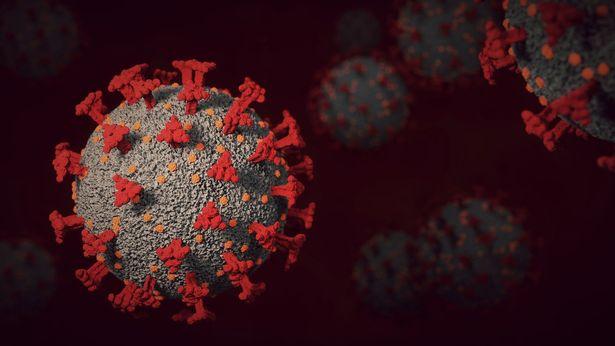 Omicron pandeminin dönüm noktası olabilir mi? Uzmanlar yanıtladı