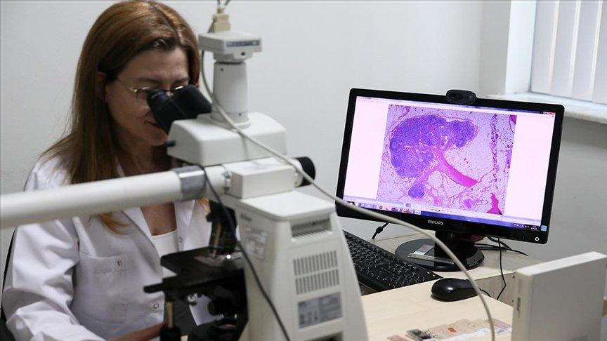 Patoloji uzmanı hastalıklı dokunun mikroskobik görüntüsünü 'Pathart' ile sanat eserine dönüştürüyor