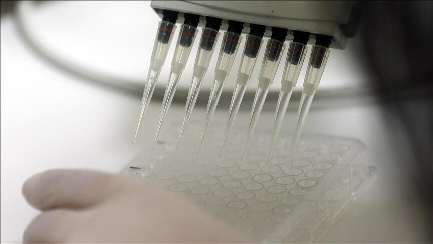 Hacettepe Üniversitesi Aşı Enstitüsü'nde  'sentetik peptit' aşının klinik öncesi çalışmalarında sona gelindi