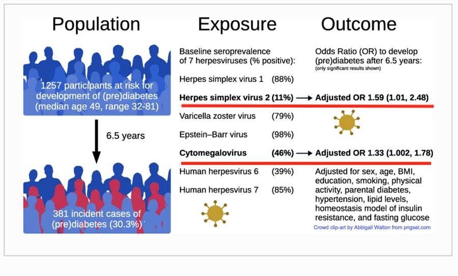 ARAŞTIRMA: Herpes virüsleri Diabet riskini artırır mı?