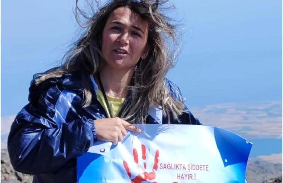 'Sağlıkta Şiddete Hayır' demek için Süphan Dağı’na tırmandı