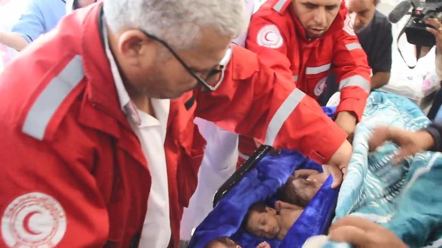 DSÖ Genel Direktörü: Şifa Hastanesi'nden 28 bebek Mısır’a nakledildi