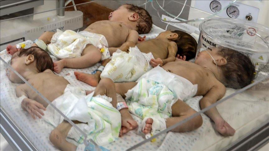 Gazze'deki Şifa Hastanesinden çıkarılan 28 prematüre bebek Mısır'da tedavi görecek