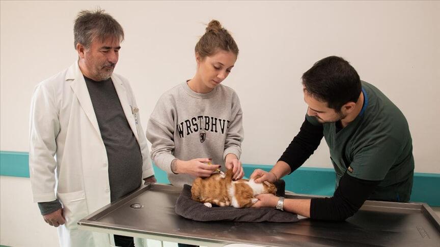 Selçuk Üniversitesi Veteriner Fakültesi bu yıl 20 bin 250 hayvanın tedavisini yaptı