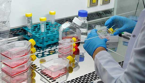 TÜBİTAK, yeni ilaç molekülü geliştirenlere 2.5 milyon TL destek verecek